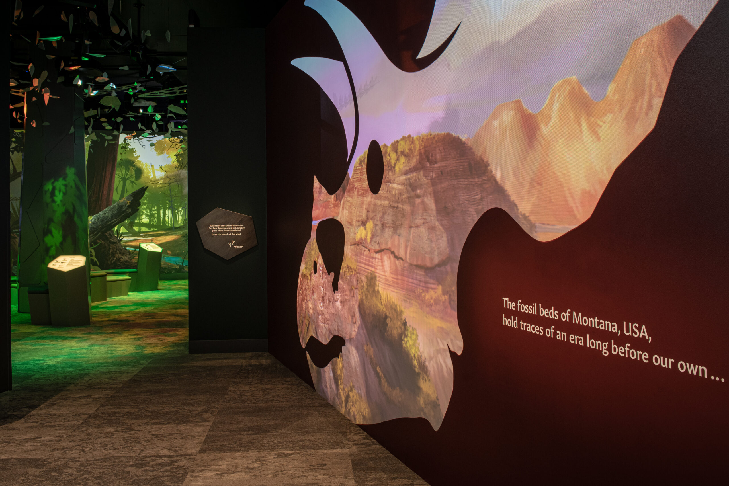 Triceratops exhibition space